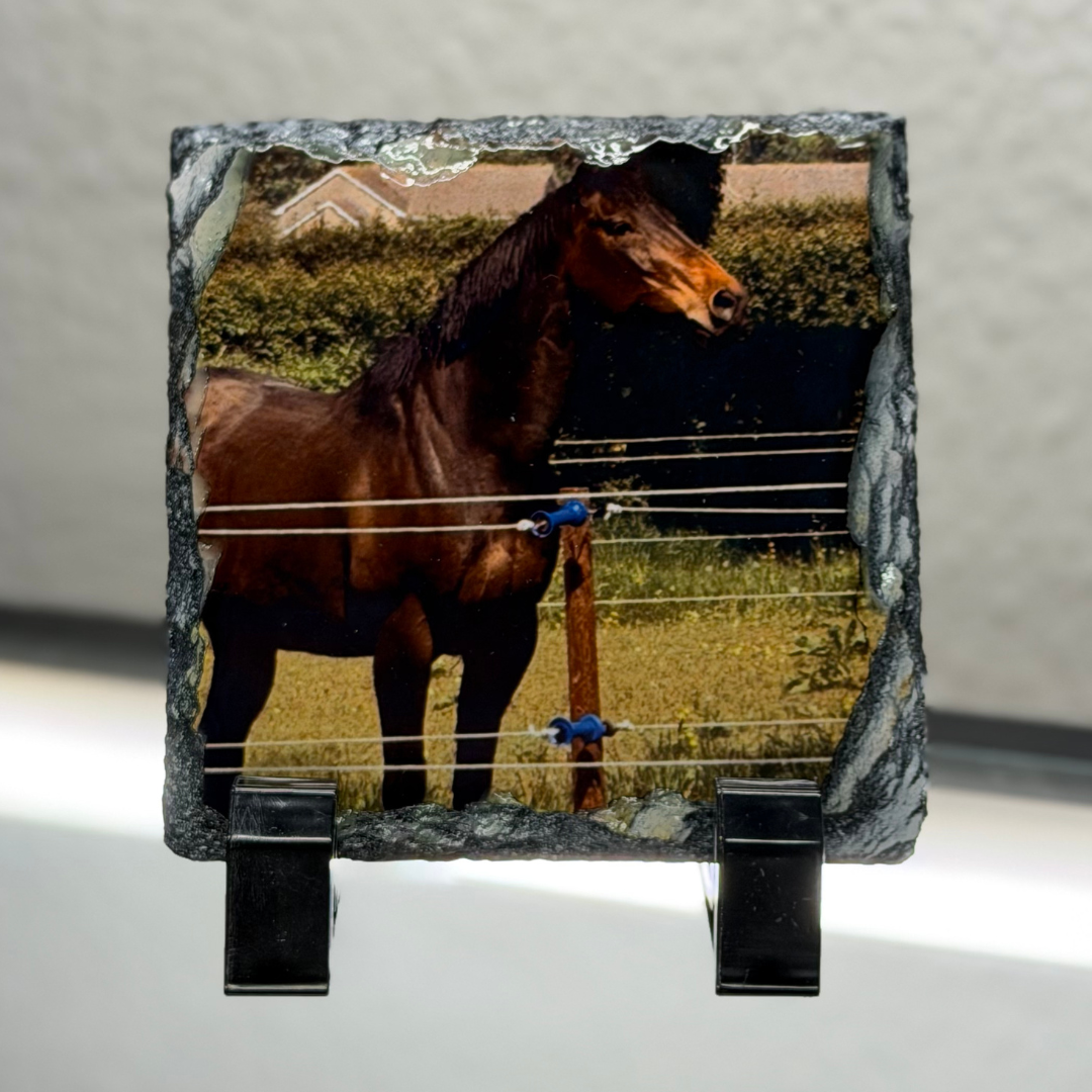 Personalised Horse Photo Rock Slate